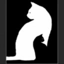 Casus - cAt's SnowFlow Essentials