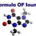 Formula OF Sound - Formula Of Emotions #13 ()