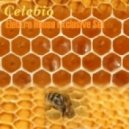 Celebio - Electro House Exclusive Set