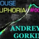 Dj Andrey Gorkin - House Euphoria #009 ()