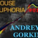 Dj Andrey Gorkin - House Euphoria #010 ()