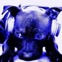 Madsound - NuDeep SpRiNg MiX