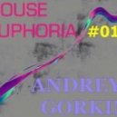 Dj Andrey Gorkin - House Euphoria #011 ()