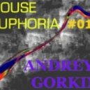 Dj Andrey Gorkin - House Euphoria #012 ()