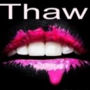AndyCheff Mix - Thaw