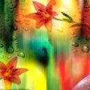 Sergey Raish - From You