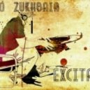 Sandro Zukhbaia - Excitation 011 ()