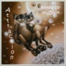 iruDNik - Attraction