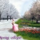 VA - Spring of Hope ()