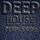 Dj Igor Kalinin - Deep House Mix #2