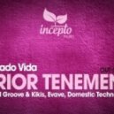 Enviado Vida - Prior Tenement