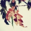 Be Free - Autumn essence ()