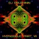 Dj Druzhinin - Hypnodelic