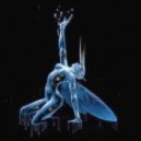 FAUR - Metamorphosis
