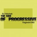 DJ Volchek - The side of Progressive