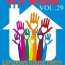 DJ WEB - Explosive House Party (vol. 29) (vol 29)