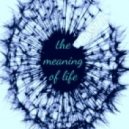 a.ST.i. - the meaning of life (D.Techno)