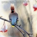 MASTER STENSOR - Spring Awakening
