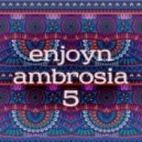 Enjoyn - Ambrosia #5 ()