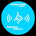 Toomy Disco - Low Frequencies (Original Mix)