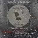 Carlos Striscia - Reflections