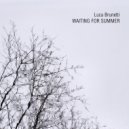 Luca Brunetti - Waiting For Summer (Original Mix)
