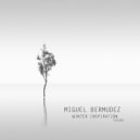 Miguel Bermudez - Music Copacabana (Original Mix)
