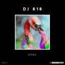 DJ 818 - Stars (Original Mix)