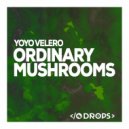 Yoyo Valero - Magic Mushrooms (Original Mix)