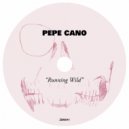 Pepe Cano - Running Wild (Extended Mix)
