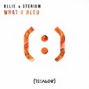 Ollie & Sterium - What U Need (Original Mix)