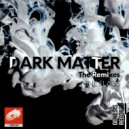 Nine Flags - Dark Matter (VIP)