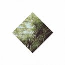 Dance Committee - Luster (Original Mix)
