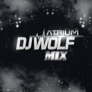 DJ WOLF - Special Сollection #0017 (August 2017)
