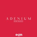 Adenium - Transparent Thoughts (Original Mix)