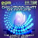 Entity Plus - Transmissions (Original Mix)