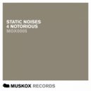 Static Noises - 4 Notorious (RobHex Remix)