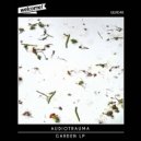 Audiotrauma - Living for the Funk (Original Mix)
