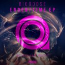 Biggoose - Time