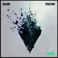 Shlump - Street Shit