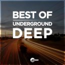 J-Sevilla - Delphinus