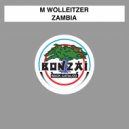 M Wolleitzer - Computer Soul