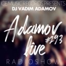 Vadim Adamov - Adamov LIVE#293 (Original Mix)
