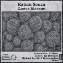 Katrin Souza - Cactus Blossom (Andrew Rice Remix)