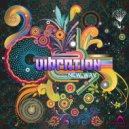 Vibration - Journey