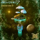 Sentinel 7 & Barakuda - Galaxies (Original Mix)