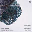 Floyd Jackson - Section Sector (Moses Mehdi \'Saleucami\' Remix)