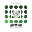 Riciar Ghir - Needles on my Pons (Original Mix)