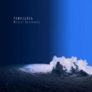 Mental Resonance - Delirium Tremens (Original Mix)