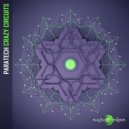 Paratech - Crazy Circuits